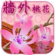 八字怎么找桃花