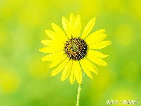 八字毕业后工作怎么看