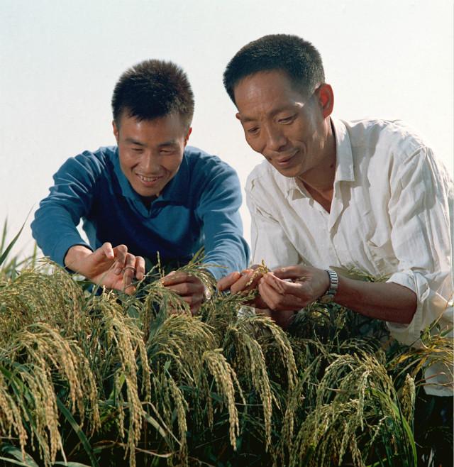 1994年农历七月初九八字 1994年农历七月初九八字