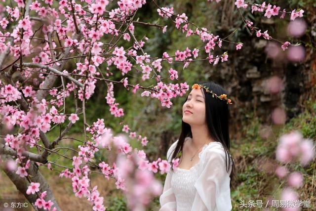八字合多的女人桃花多