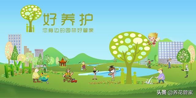 2000年龙女在2022年的运势 2000年龙女在2022年的运势