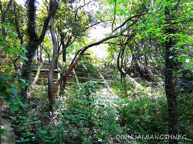 南京八字山大全 南京八字山大全