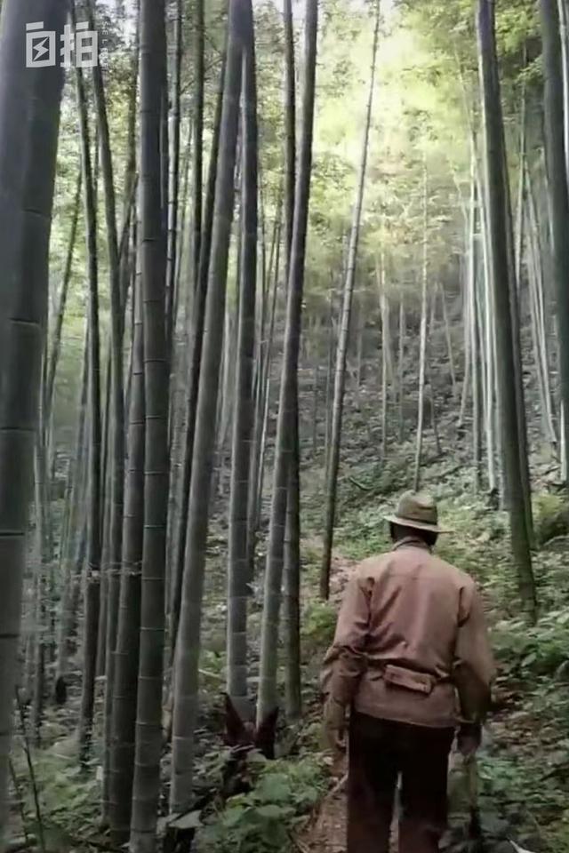 农历2022年九月十三生辰八字 农历2022年九月十三生辰八字