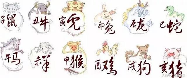 辛丑年生人富贵好八字