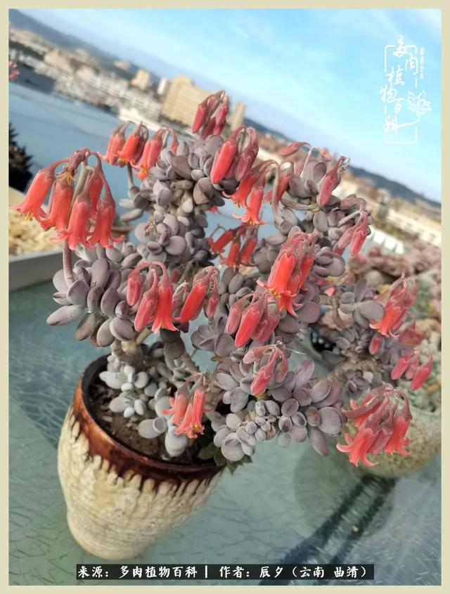 带年轮的八字词语 带年轮的八字词语
