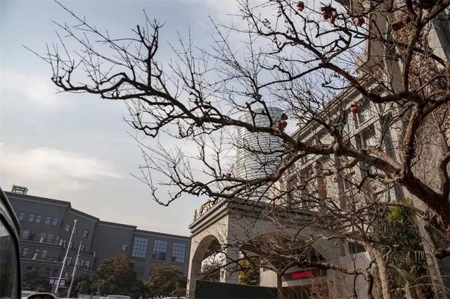 张伟光八字精品讲座视频下载 张伟光八字精品讲座视频下载