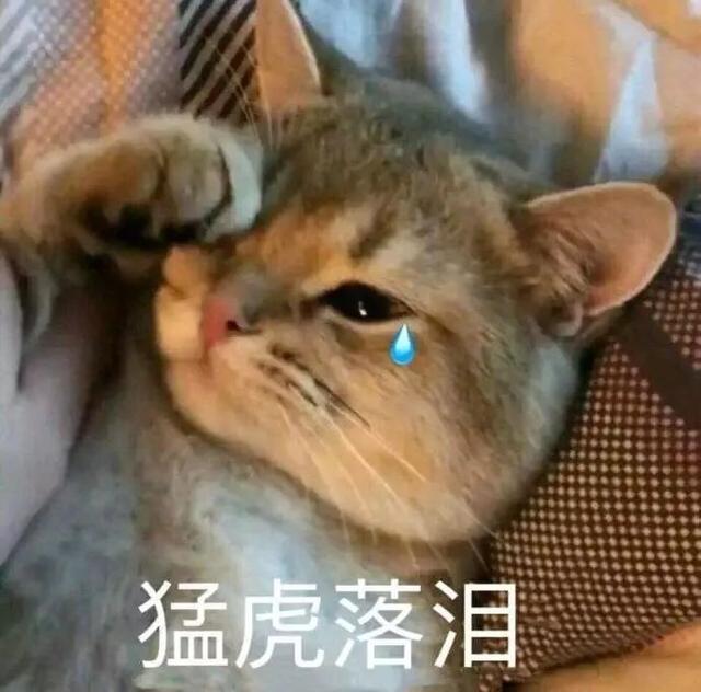 网上的免费八字算命准吗 网上的免费八字算命准吗