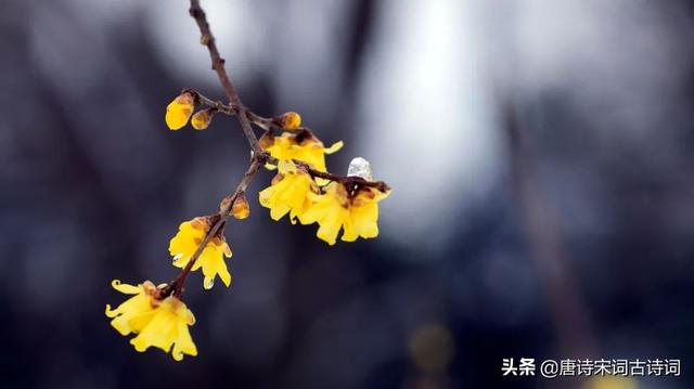 自在道人说八字笔记 自在道人说八字笔记
