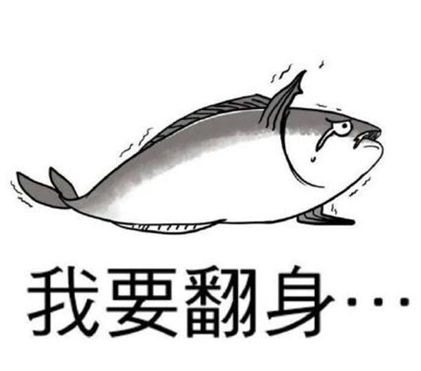 2022年马男的全年运势