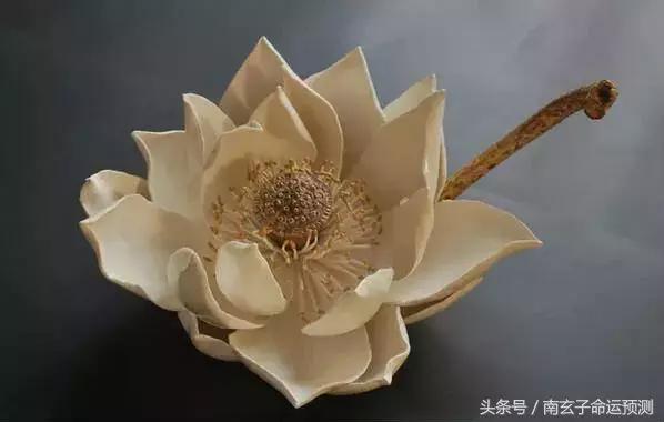 八字女不容易出轨七杀