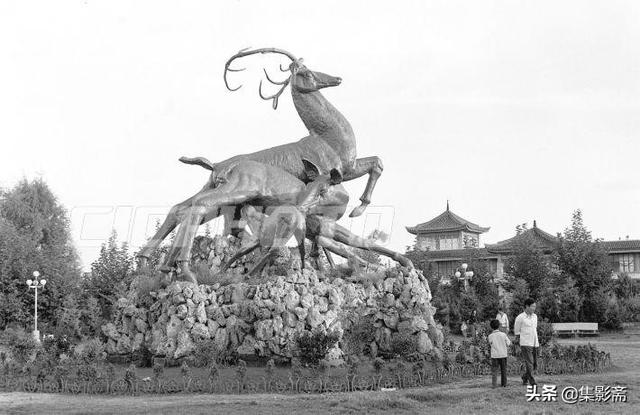 杨森批八字中国八字 杨森批八字中国八字