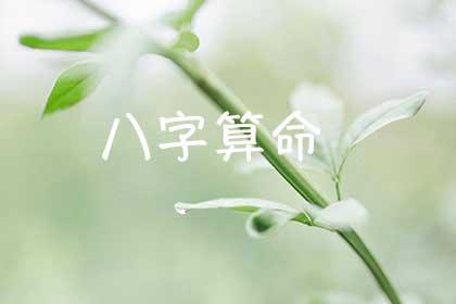 在线测八字测算免费 在线测八字测算免费