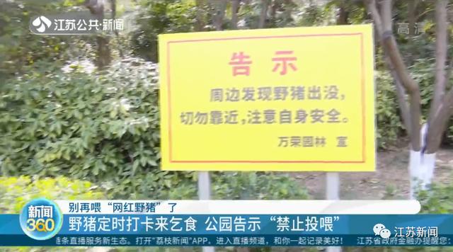 八字中带了7个水 八字中带了7个水