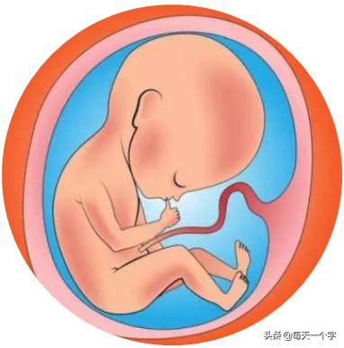 八字地支特殊组合卯巳 八字地支特殊组合卯巳