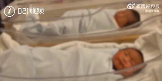 在线生辰八字取名软件下载
