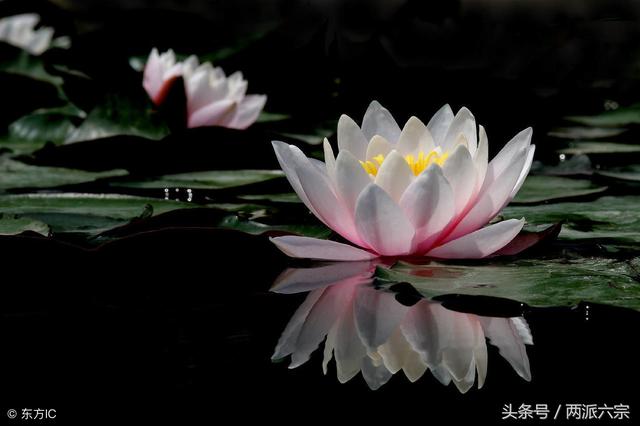 2020鼠年老公出轨八字 2020鼠年老公出轨八字