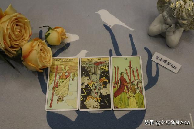 狮子座2022整体运势 狮子座2022整体运势