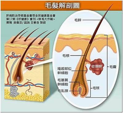 容易长痘是八字哪里出了问题 容易长痘是八字哪里出了问题