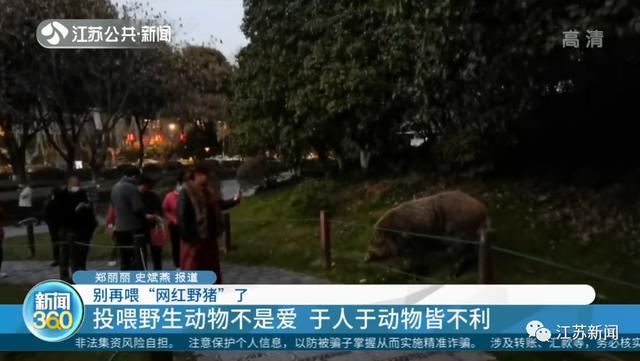 八字中带了7个水 八字中带了7个水