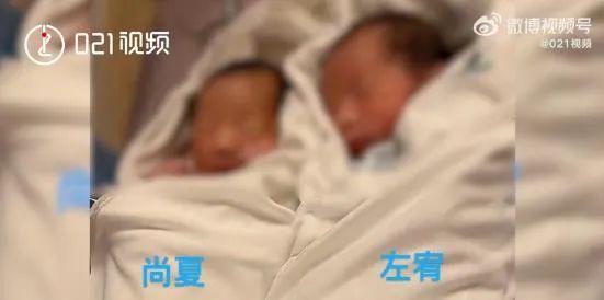 在线生辰八字取名软件下载 在线生辰八字取名软件下载