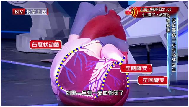 鼻子两侧八字发白 鼻子两侧八字发白