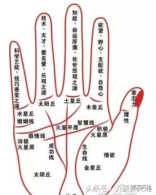网上算八字哪位大师最好