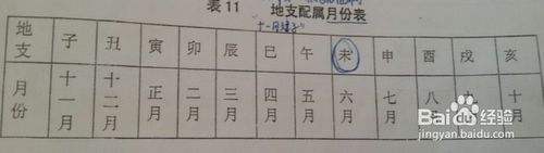 1982年3月4日生辰八字