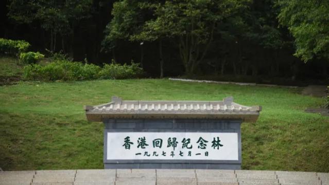 1950属虎人2022年虎年全年运势 1950属虎人2022年虎年全年运势