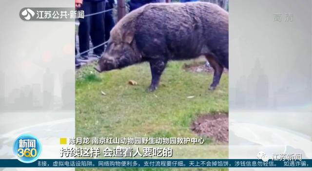 八字中带了7个水 八字中带了7个水