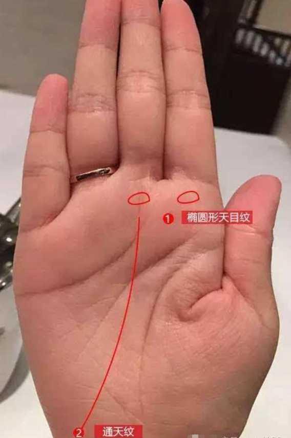 清太祖努尔哈赤八字 清太祖努尔哈赤八字