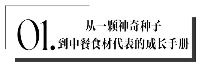 测八字软硬 测八字软硬