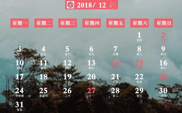 六月初九生辰八字