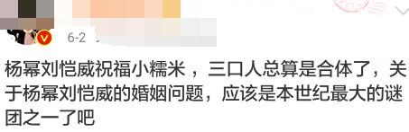 刘恺威八字