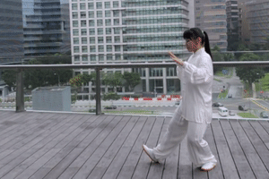 水平八字胯