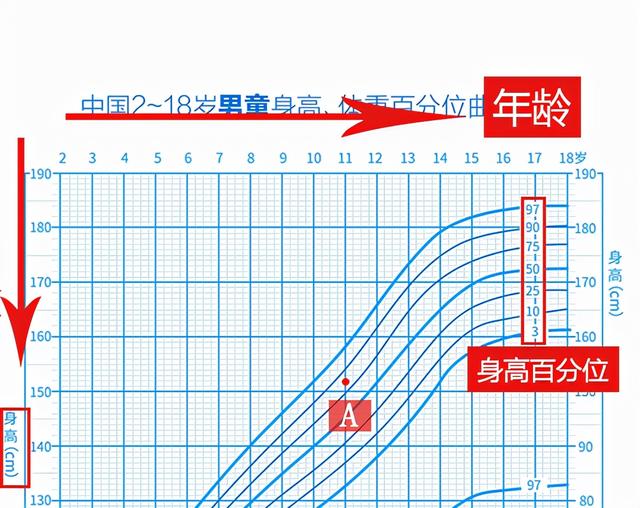 八字预测身高 八字预测身高