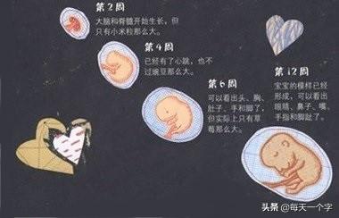 八字地支特殊组合卯巳 八字地支特殊组合卯巳