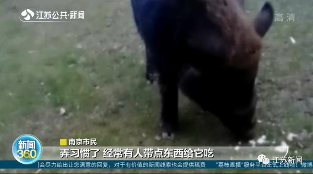 八字中带了7个水 八字中带了7个水