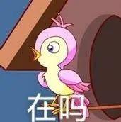 单身孤命八字 单身孤命八字