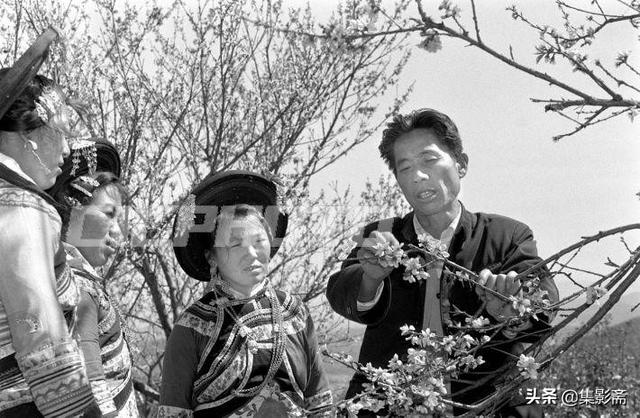 杨森批八字中国八字 杨森批八字中国八字