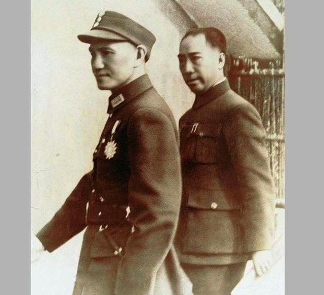 主持人胡蝶八字 主持人胡蝶八字
