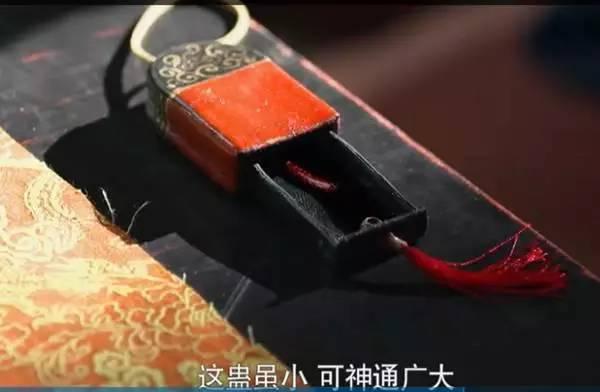 知道八字可以施蛊么
