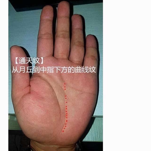 清太祖努尔哈赤八字 清太祖努尔哈赤八字
