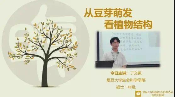 社团口号创意八字