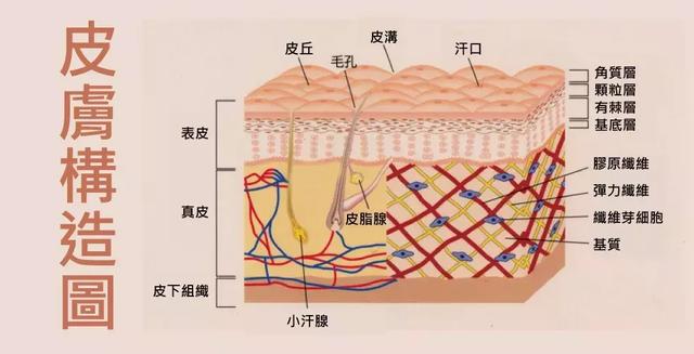 脸上眼睛下有八字