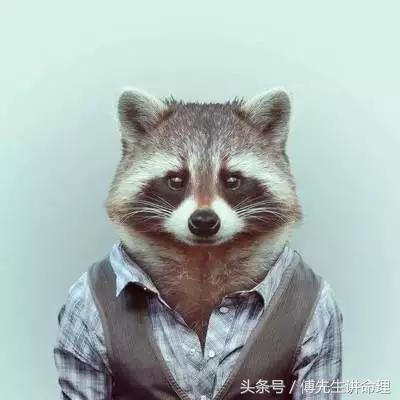 八字月令打多少分