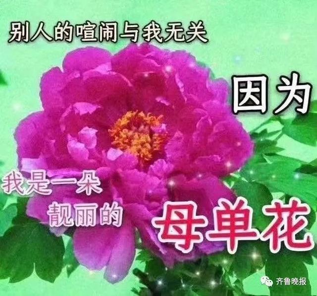 单身孤命八字 单身孤命八字