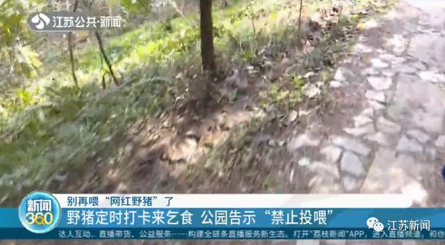 八字中带了7个水 八字中带了7个水