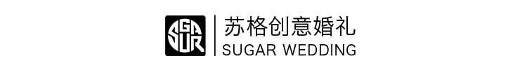 六月初九生辰八字