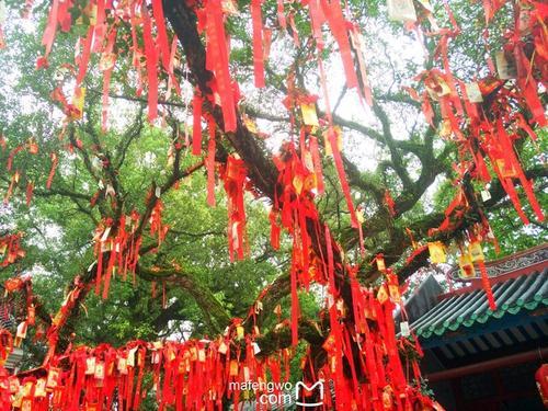 八字侧姻缘免费 八字侧姻缘免费