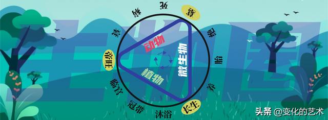 八字地支藏干力量